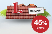 Akce - První střecha v obci