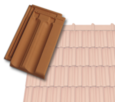 Francouzská 14
