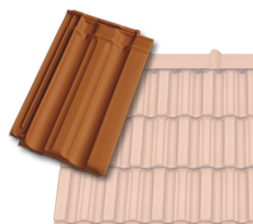 Falcovka 11